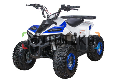 Квадроцикл детский YACOTA (Якота) RAPOSA 110 белый (машинокомплект) Квадроцикл детский YACOTA (Якота) RAPOSA 110 белый (машинокомплект)